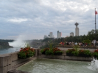 DSC 5205