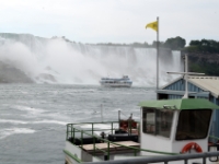 DSC 5239
