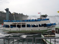 DSC 5242