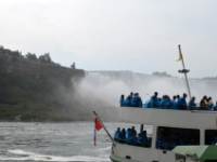 DSC 5246