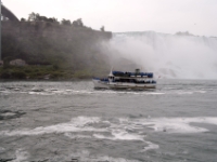 DSC 5252