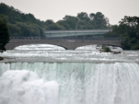 DSC 5299