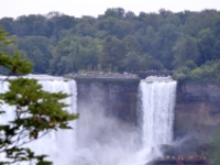 DSC 5308