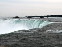 DSC 5329
