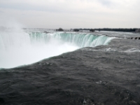 DSC 5341