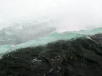DSC 5356