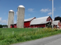 CIMG2773