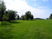 DSC 5394