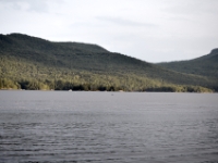 DSC 5478
