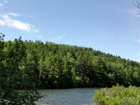 CIMG2855