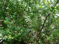 CIMG2864