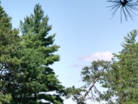CIMG2875