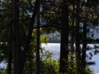 DSC 5491