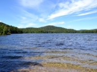 DSC 5494
