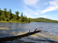 DSC 5500