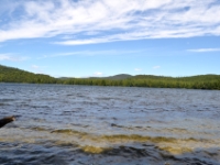 DSC 5501