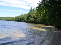 DSC 5502