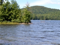DSC 5503