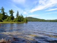 DSC 5504