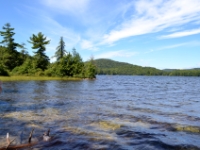 DSC 5505