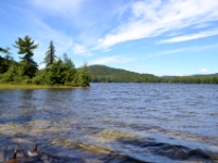 DSC 5506