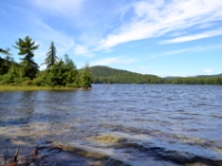 DSC 5507