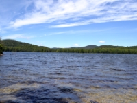 DSC 5508