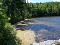 DSC 5515