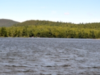 DSC 5518