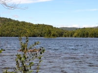 DSC 5519