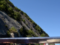 DSC 5520