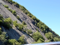 DSC 5521