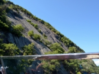 DSC 5523