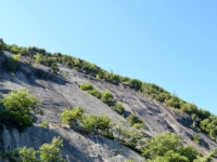 DSC 5524