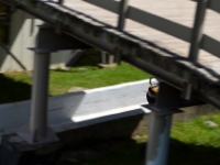 DSC 5712