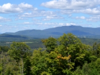 DSC 5715