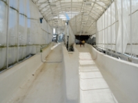 DSC 5726