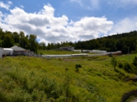 DSC 5731
