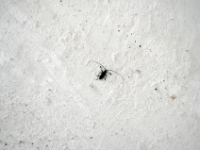DSC 5732