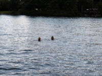 DSC 5528