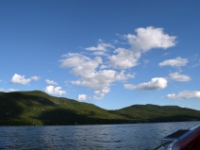 DSC 5549