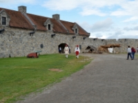 DSC 5861