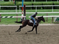 CIMG3096