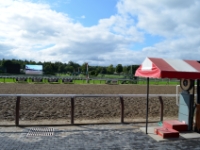 DSC 5939