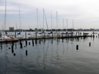 Day18_Boston-Sailing