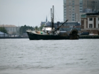 DSC 6199