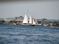 DSC 6233