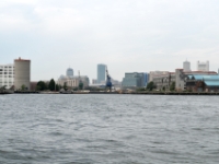 DSC 6247