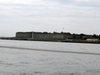 DSC 6271
