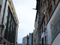 DSC 6393